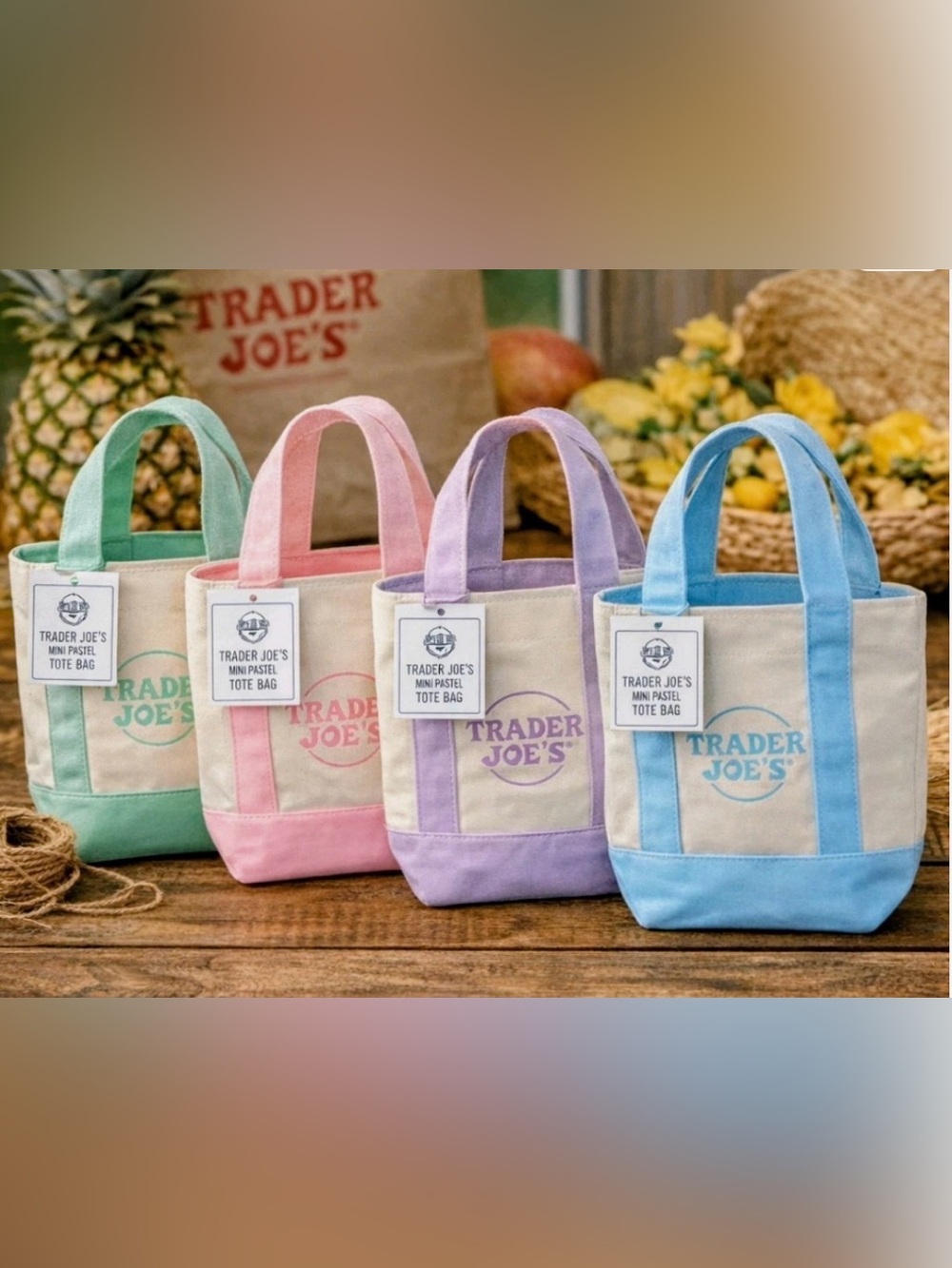 Trader Joe's Pastel Mini Tote Bag - Green